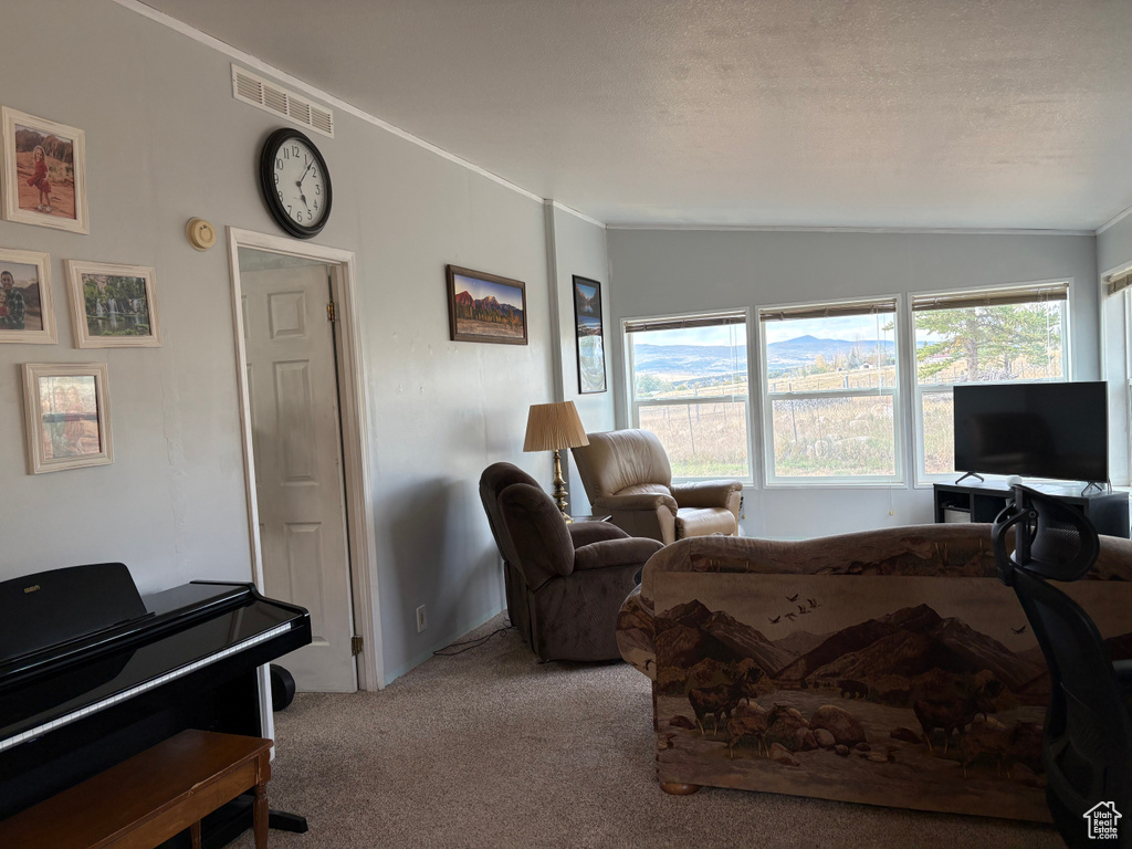 Carpeted living room featuring lofted ceiling, a textured ceiling, a healthy amount of sunlight, and crown molding