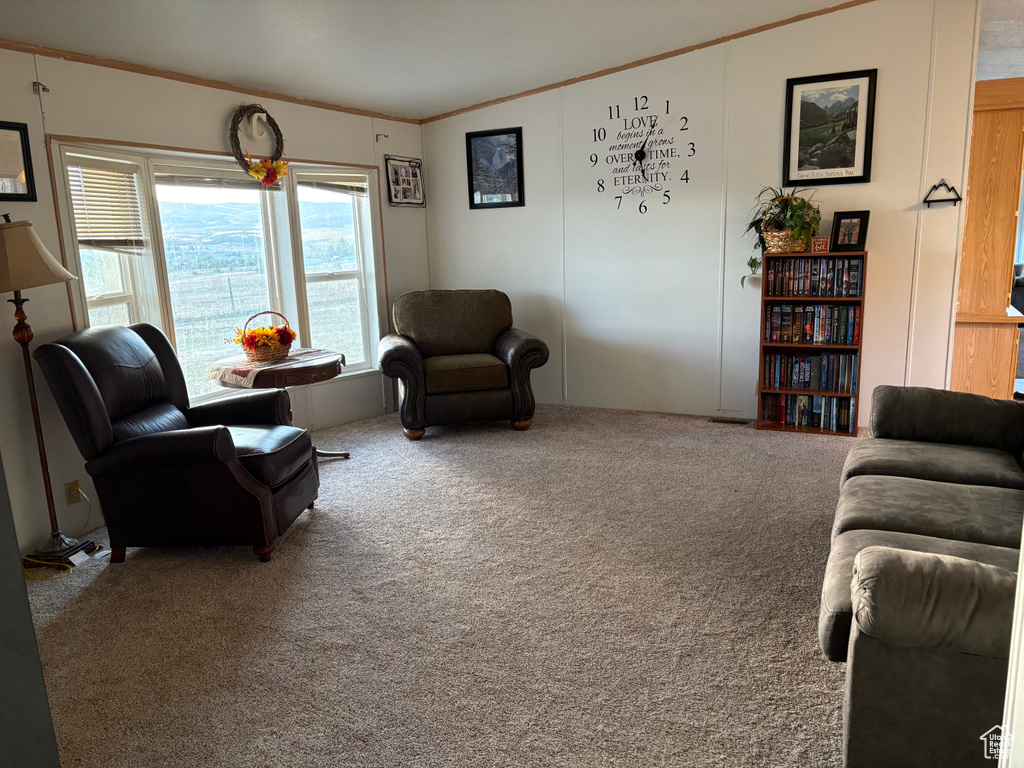 Carpeted living room with ornamental molding and a healthy amount of sunlight