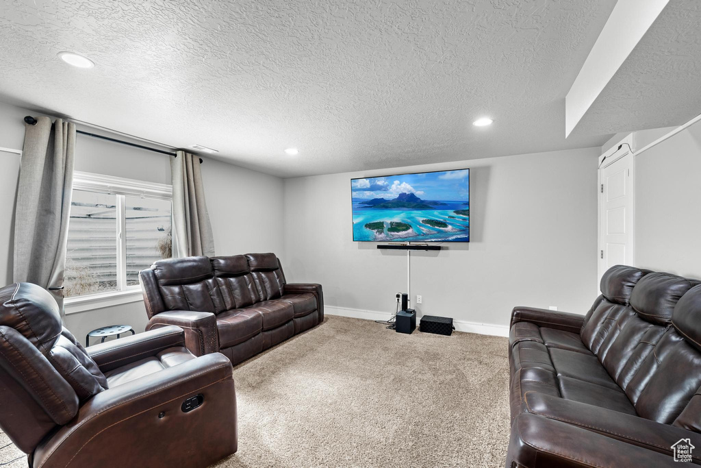 Living room featuring a textured ceiling and carpet floors