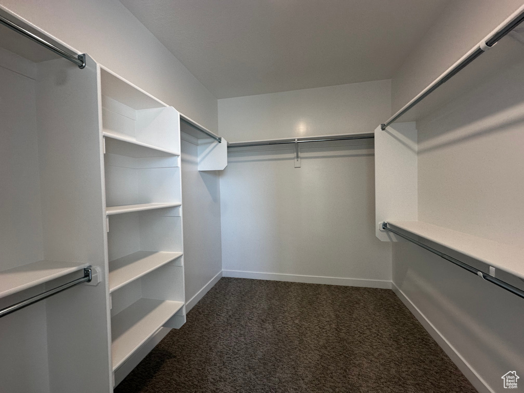 Spacious closet featuring dark carpet