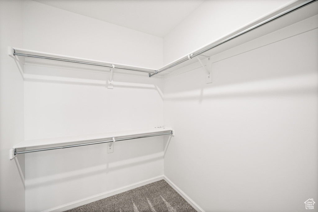 Spacious closet with carpet flooring