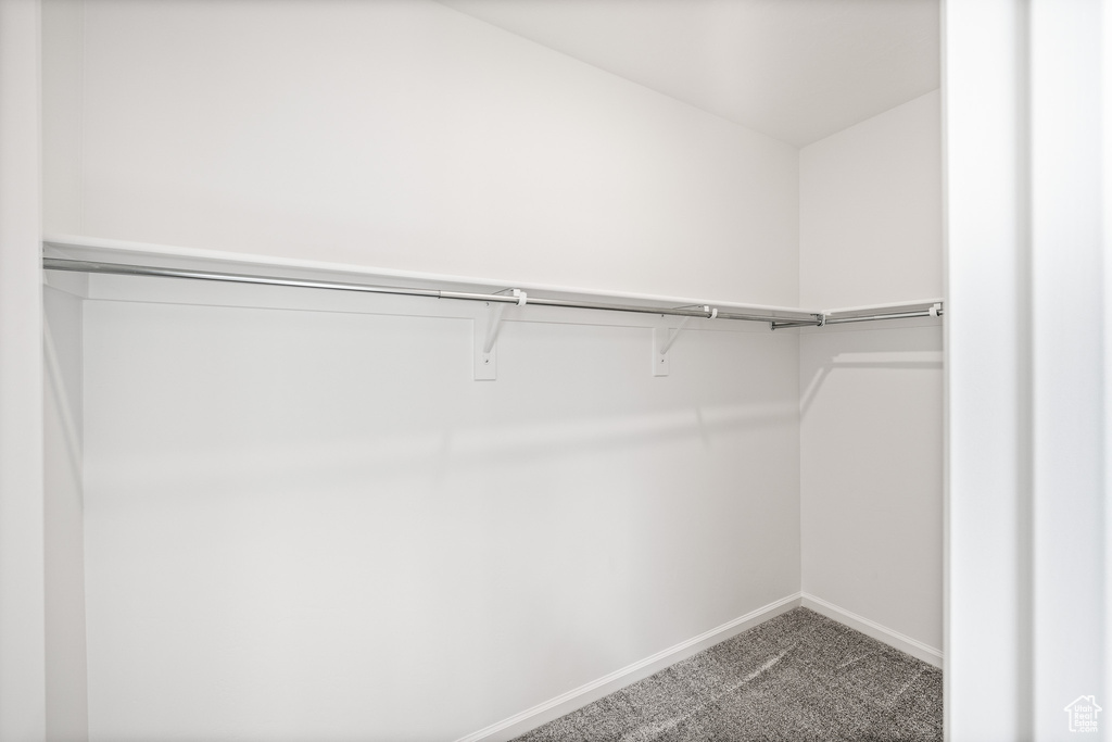 Spacious closet featuring carpet