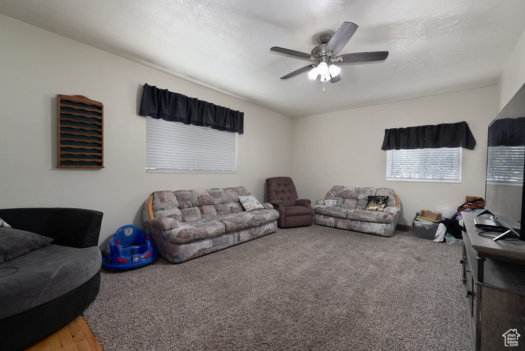 Living room featuring hardwood / wood-style floors, a textured ceiling, and ceiling fan