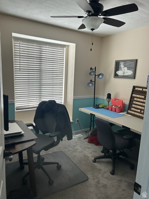 Office featuring carpet floors, plenty of natural light, and ceiling fan