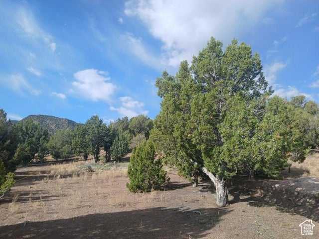 View of nature featuring a rural view