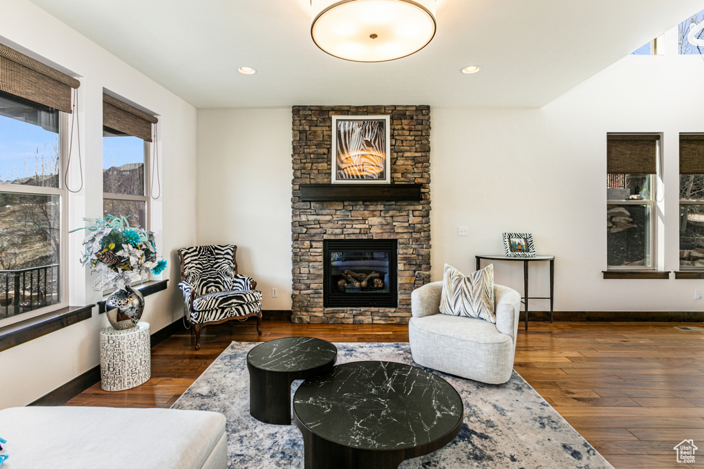 Living room featuring dark wood-type flooring and a fireplace