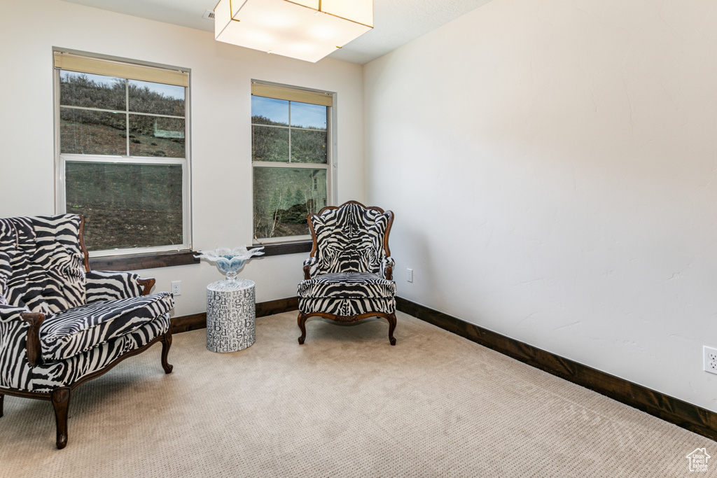 Sitting room with carpet flooring