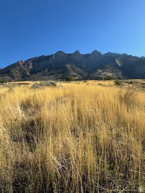 Property view of mountains