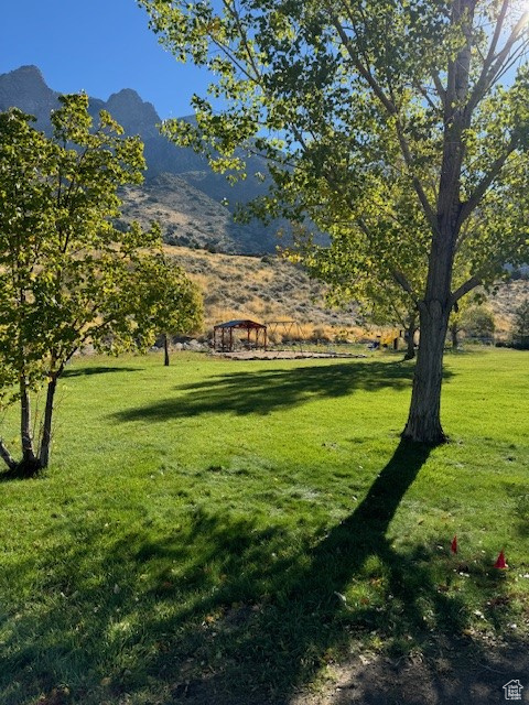 View of community with a mountain view and a lawn
