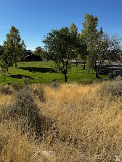 View of local wilderness with a rural view