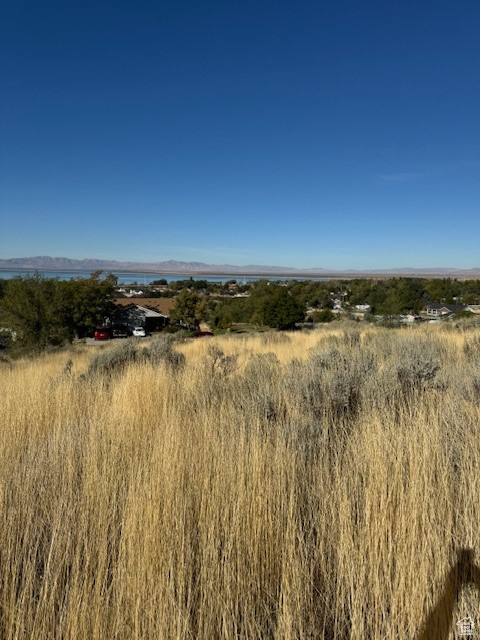 View of local wilderness featuring a rural view