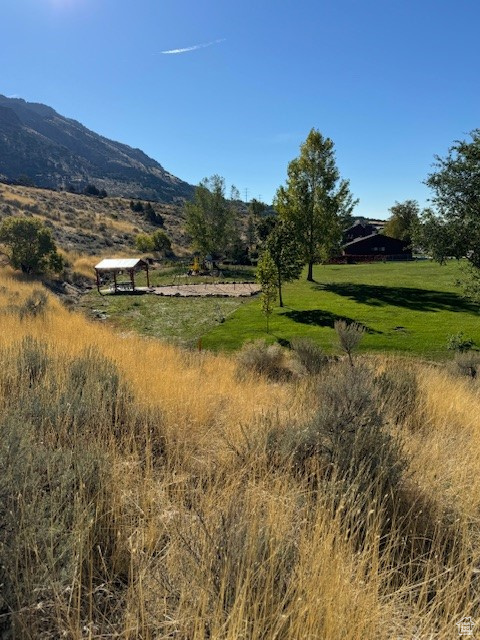 View of mountain feature featuring a rural view