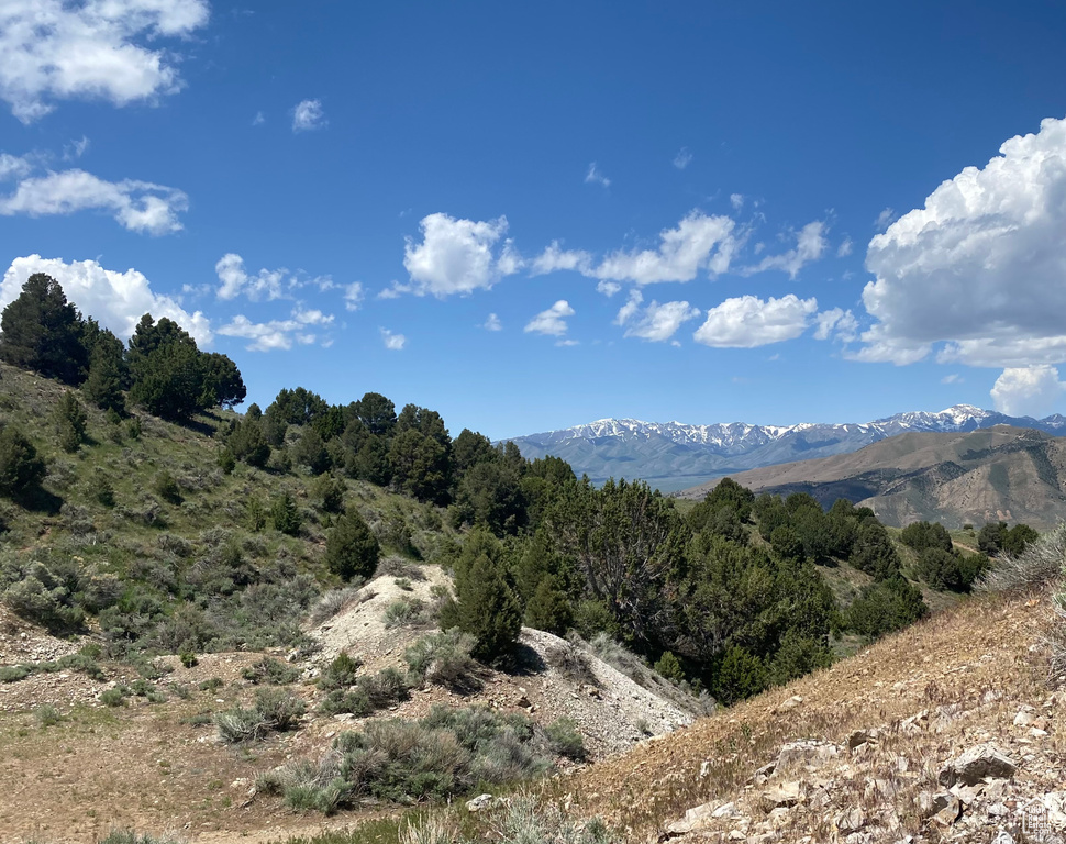 Property view of mountains