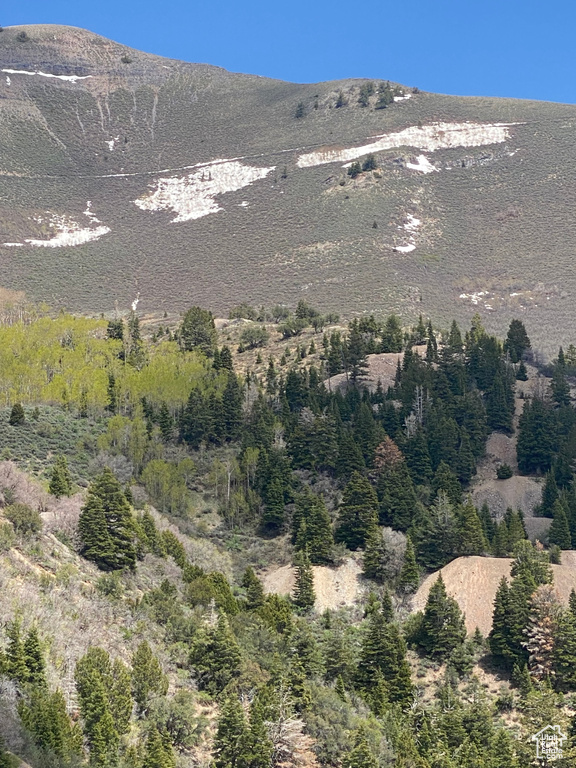 Mountain view