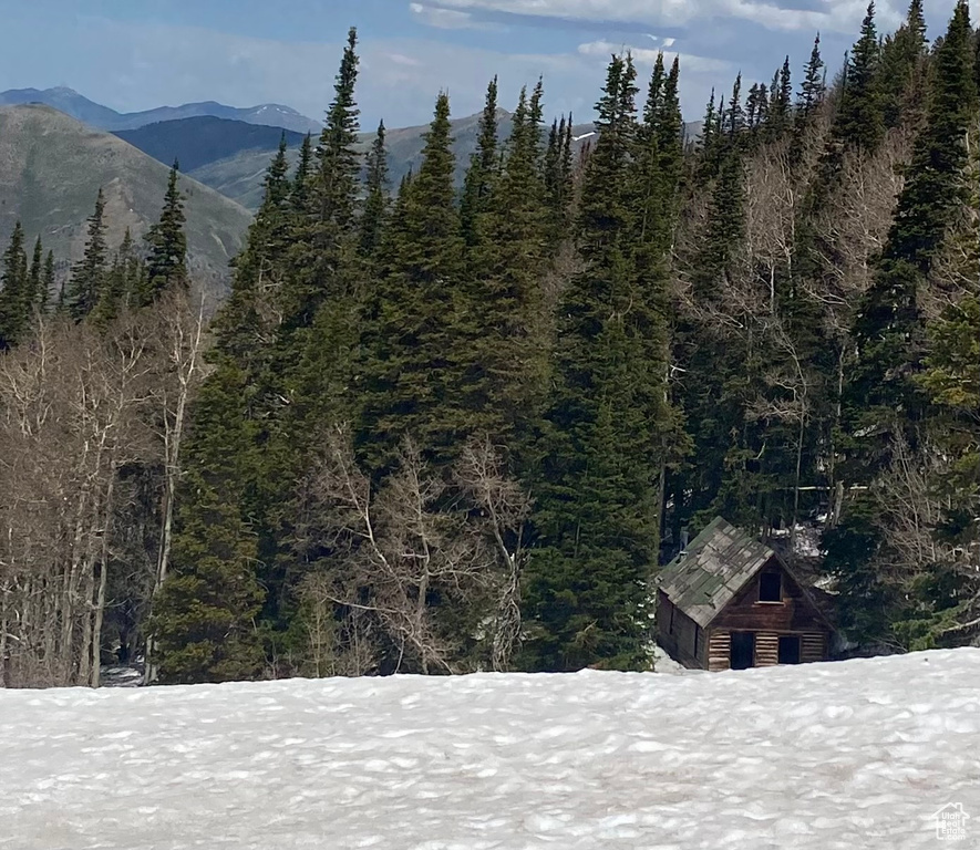 Mountain view