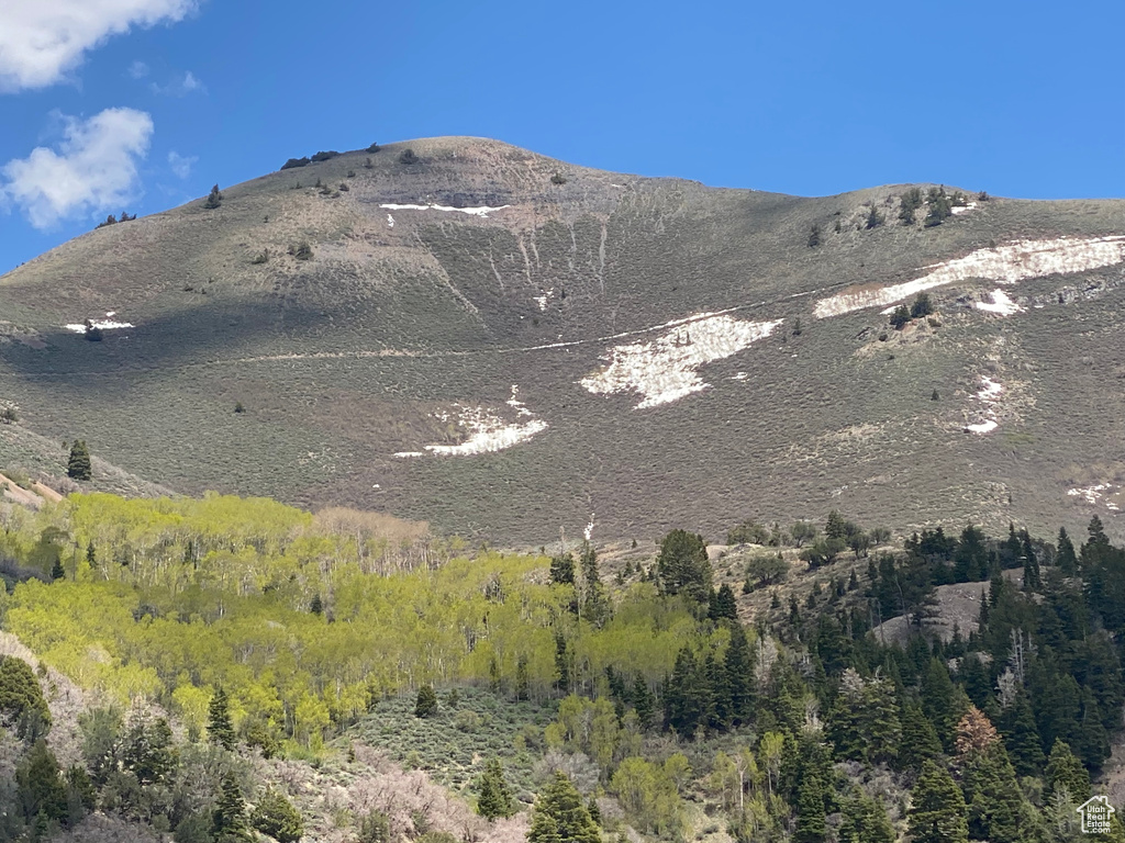 Mountain view