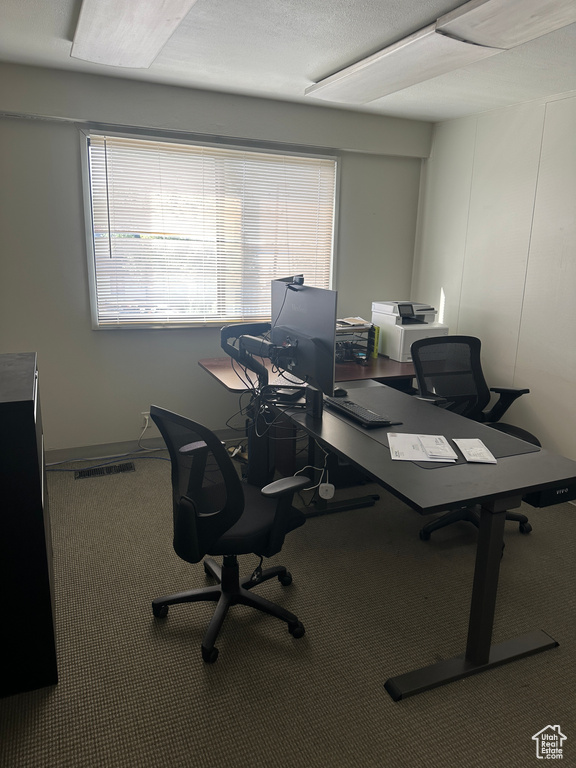 Carpeted office featuring a textured ceiling