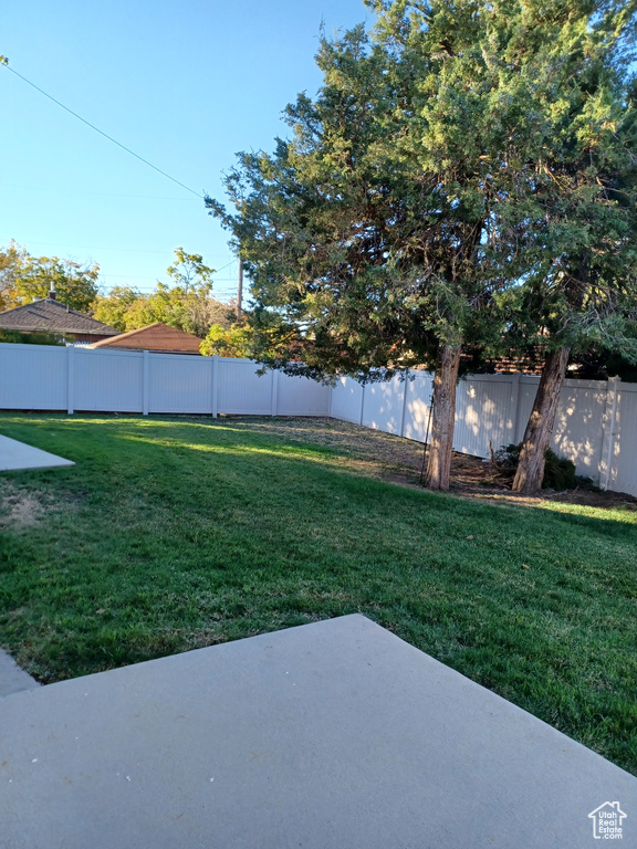 View of yard with a patio