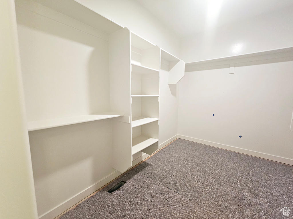 Walk in closet with carpet