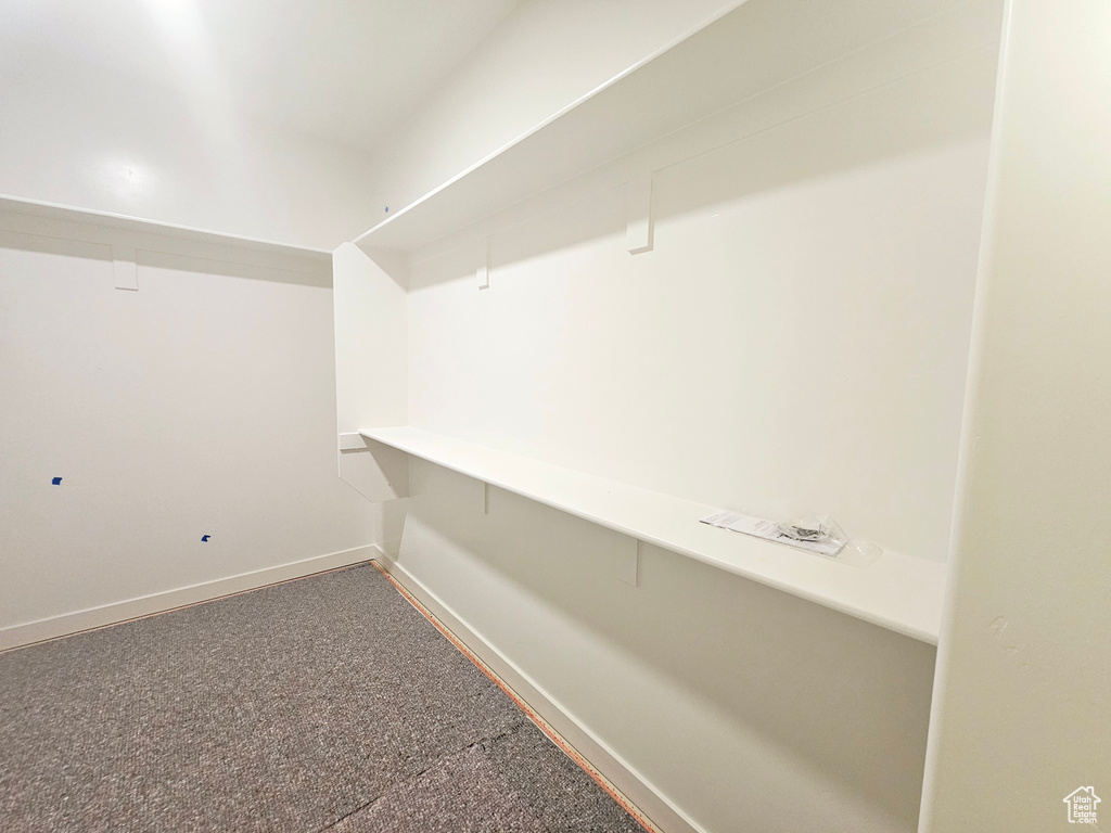 Spacious closet featuring carpet