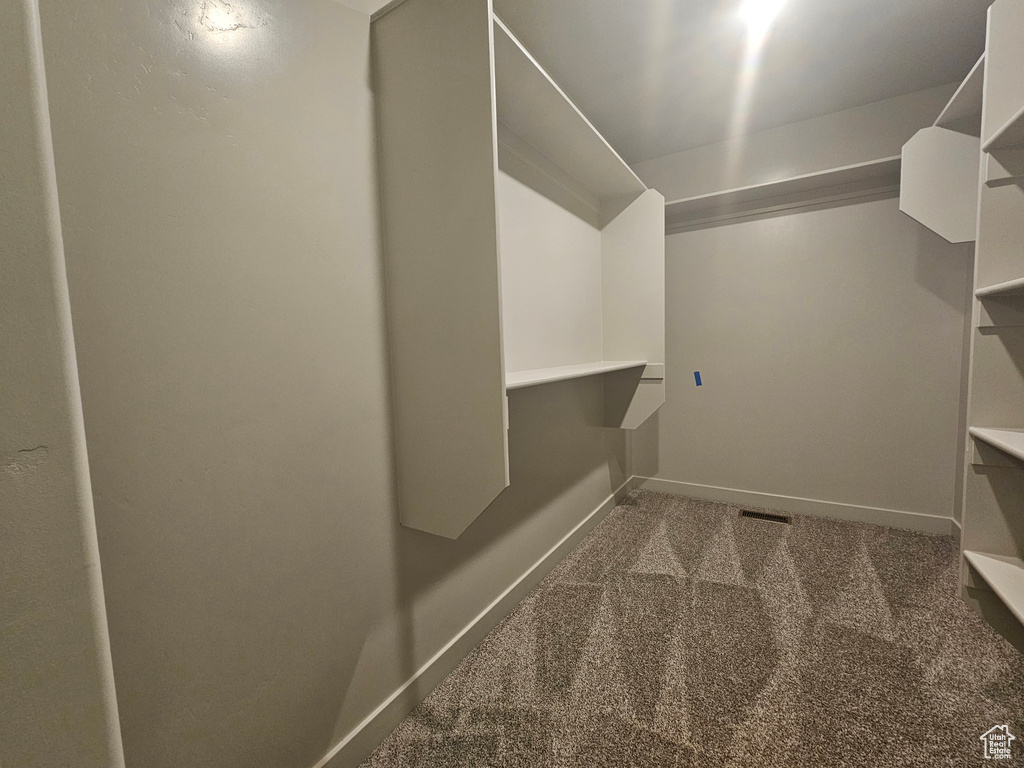 Spacious closet featuring dark colored carpet