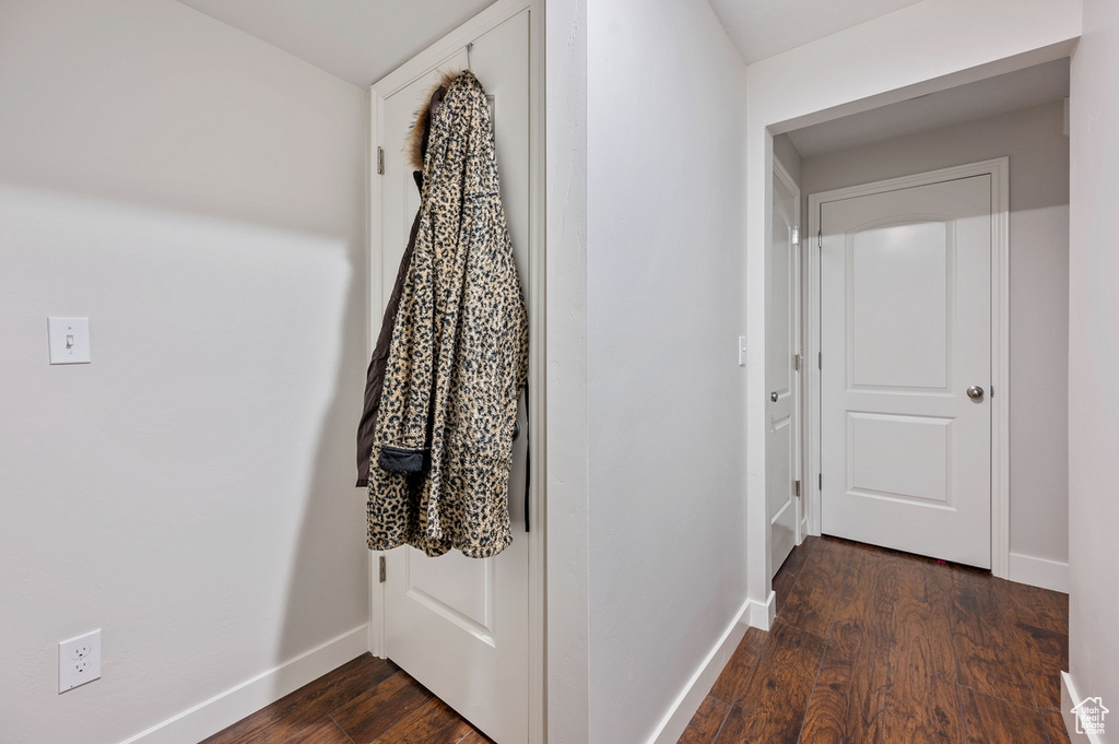 Hall with dark wood-type flooring