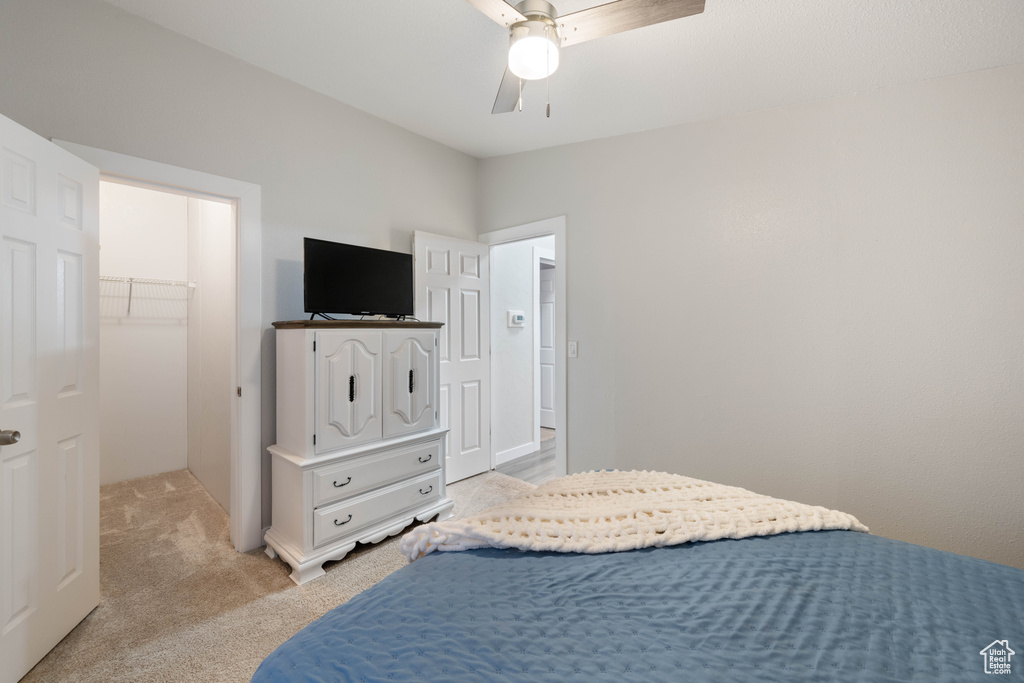 Carpeted bedroom with a spacious closet, a closet, and ceiling fan