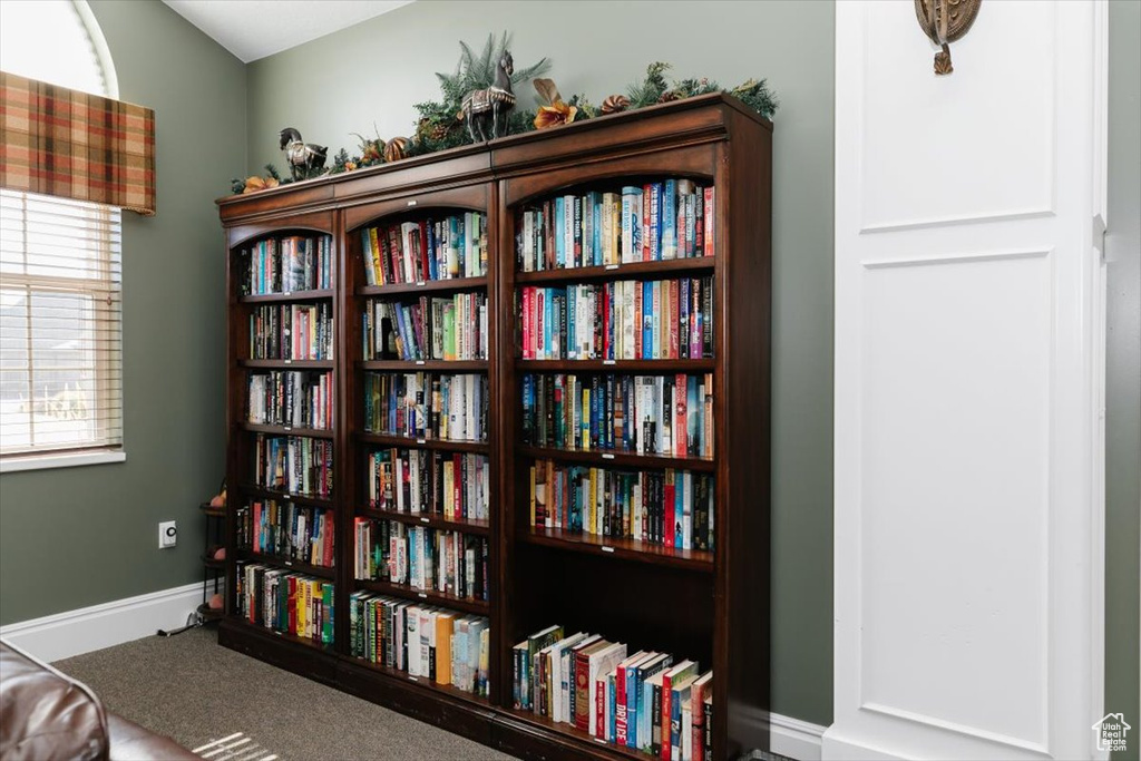 Sitting room featuring carpet flooring