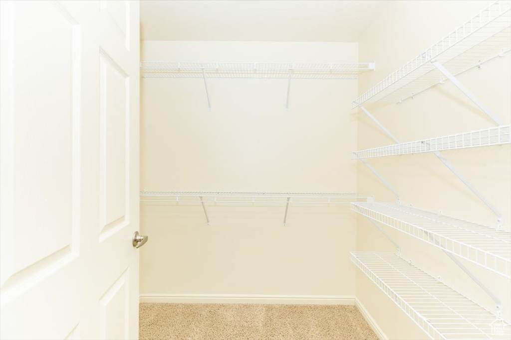 Spacious closet featuring carpet floors