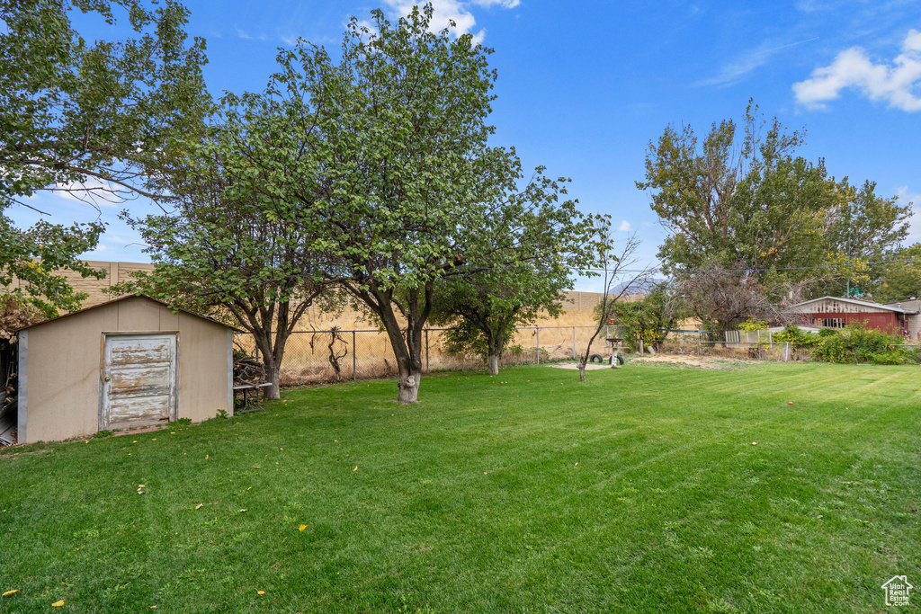 View of yard with a storage shed