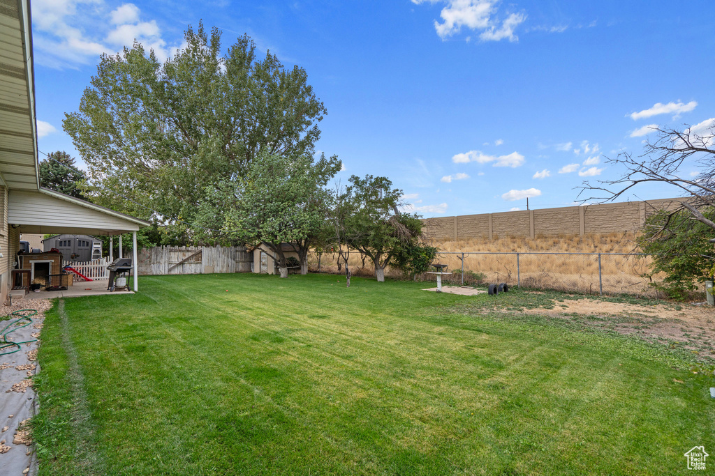 View of yard with a patio and a shed