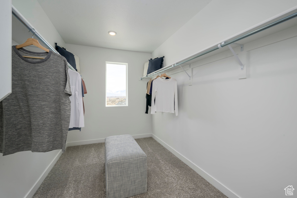 Spacious closet featuring dark carpet