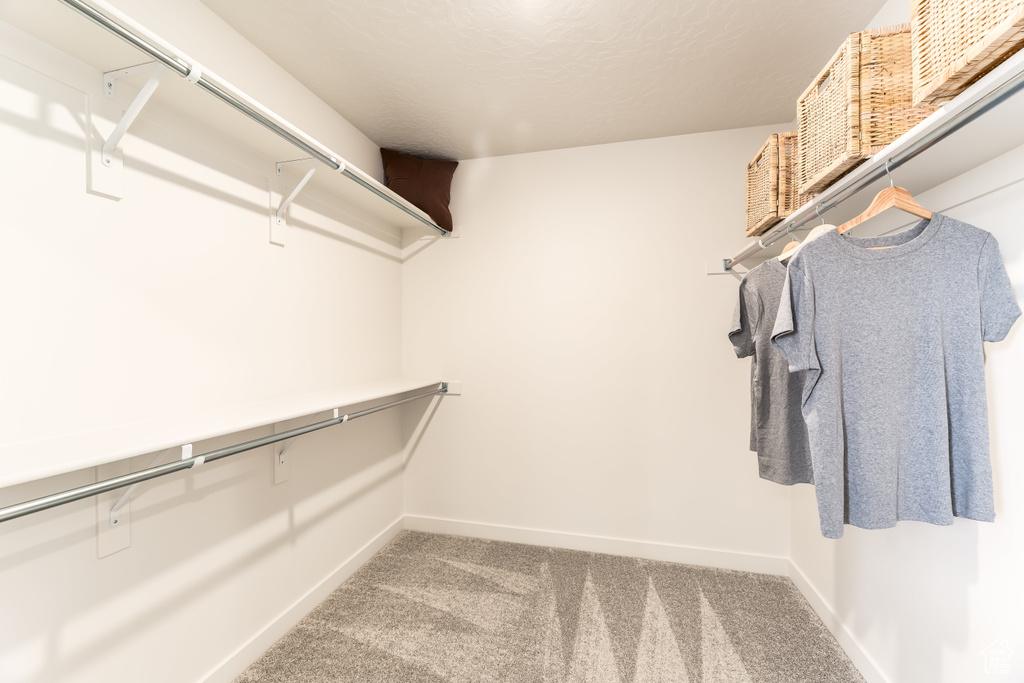 Walk in closet with carpet flooring