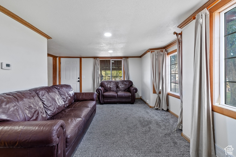 Living room featuring crown molding, a textured ceiling, and carpet