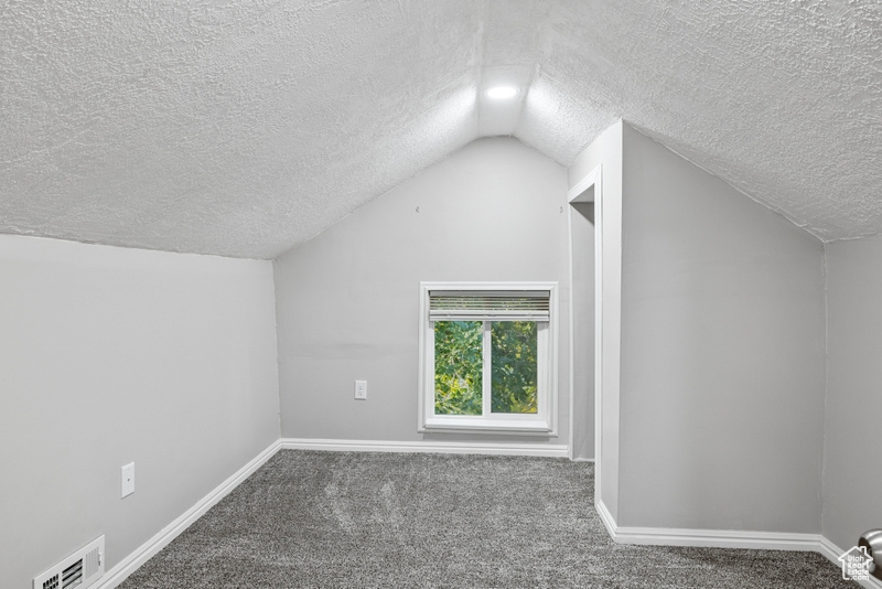 Bonus room featuring lofted ceiling, a textured ceiling, and carpet