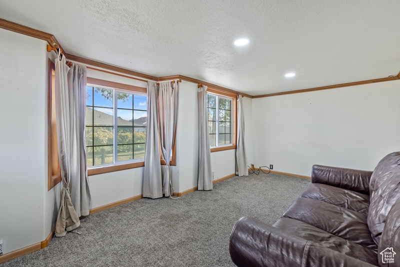 Carpeted living room featuring a mountain view, crown molding, and a textured ceiling