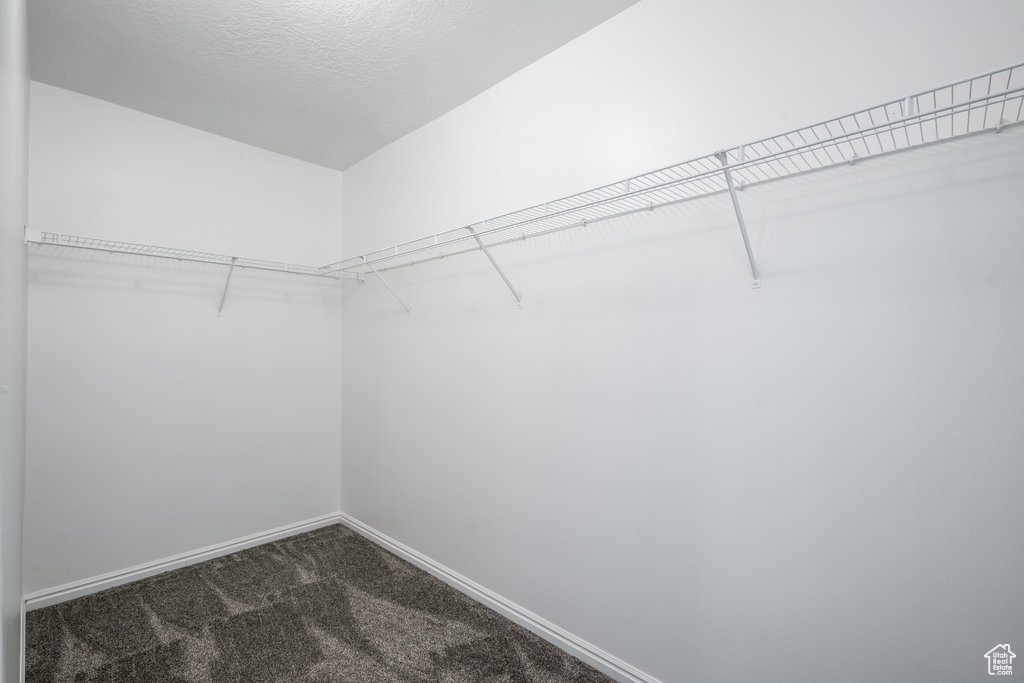 Spacious closet with dark colored carpet