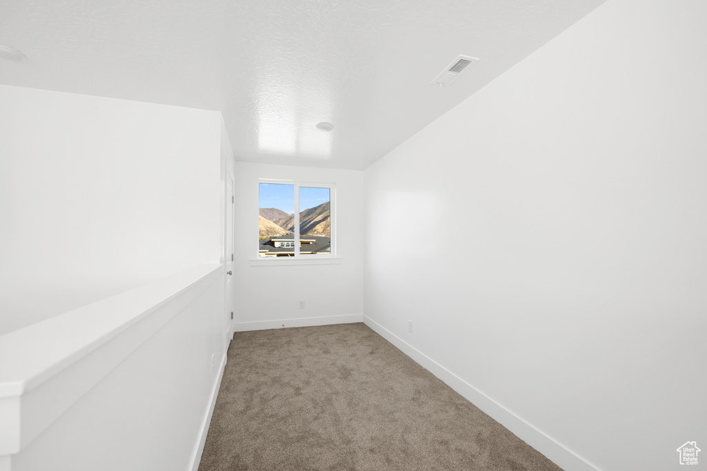 Carpeted spare room with a textured ceiling and vaulted ceiling