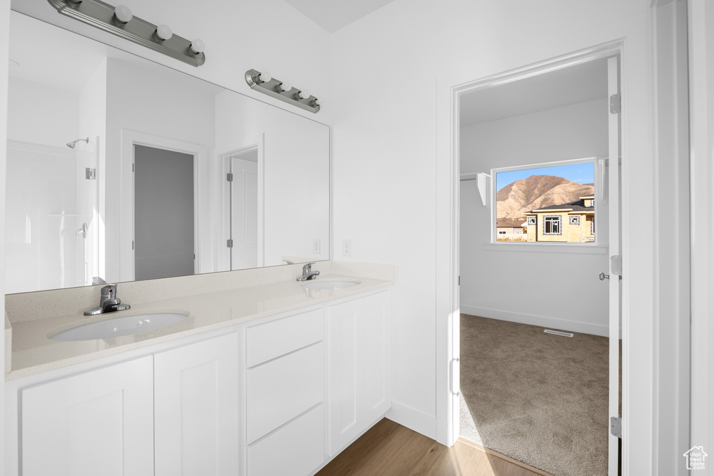 Bathroom with vanity and wood-type flooring