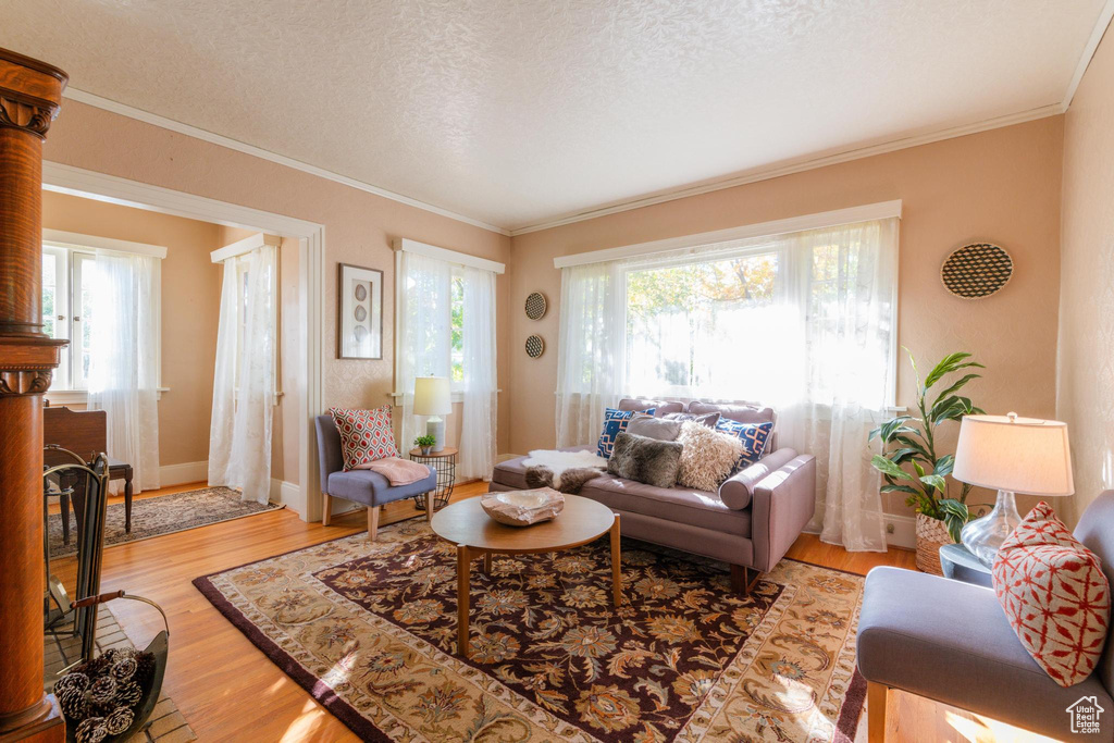 Living room with a textured ceiling, ornamental molding, and light wood-type flooring