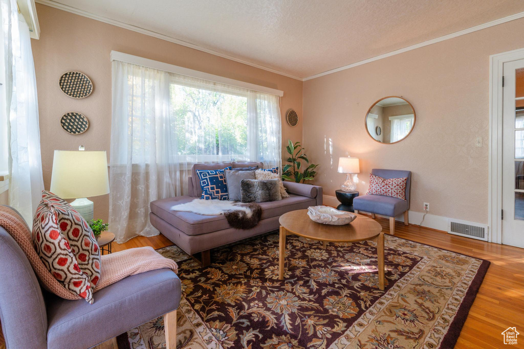 Living room with ornamental molding, hardwood / wood-style flooring, and a textured ceiling