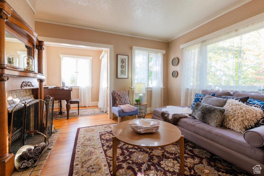 Living room featuring crown molding, a fireplace, a textured ceiling, and light hardwood / wood-style floors