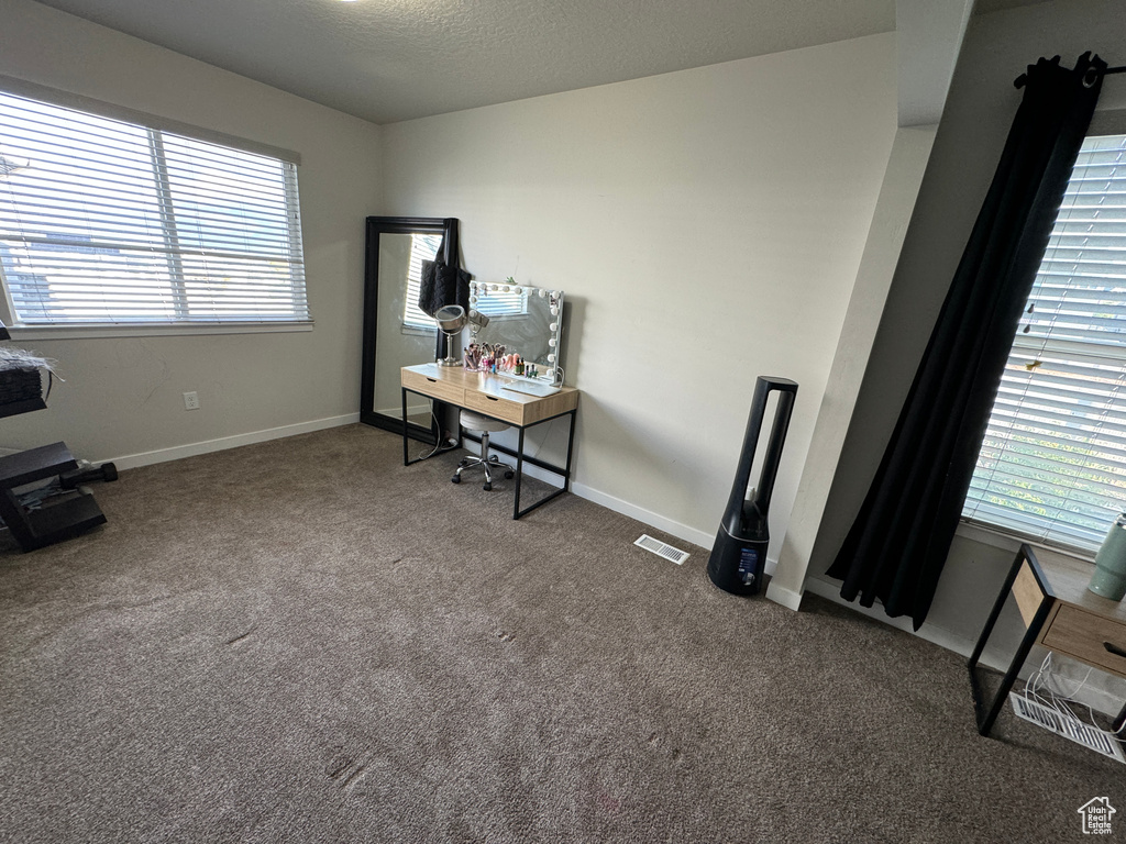 Misc room with carpet floors and a healthy amount of sunlight