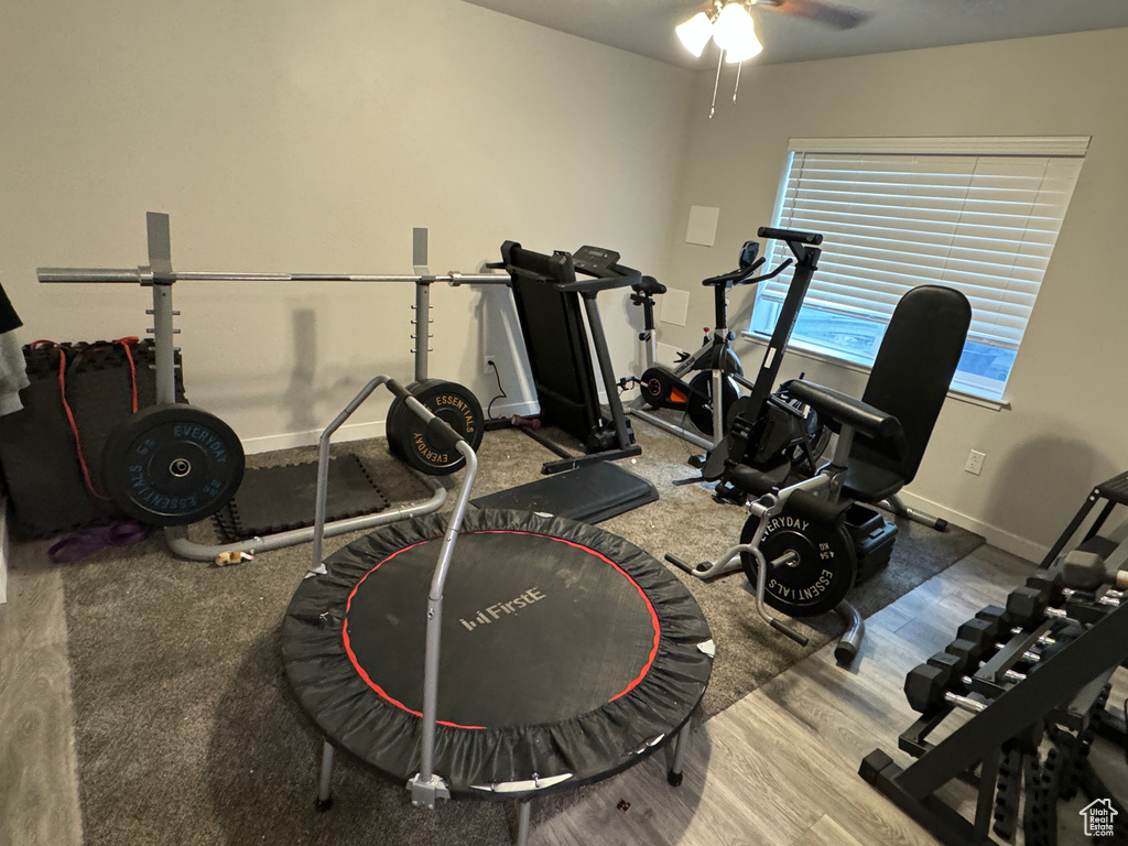 Workout area with ceiling fan and hardwood / wood-style flooring