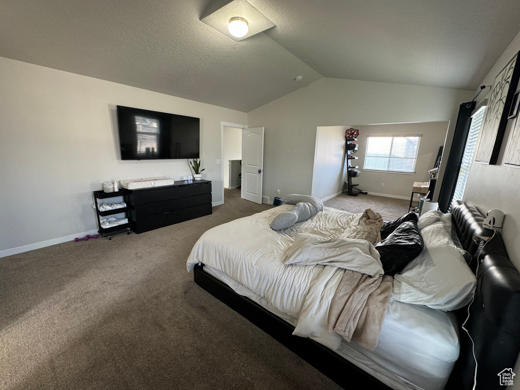 Carpeted bedroom with lofted ceiling