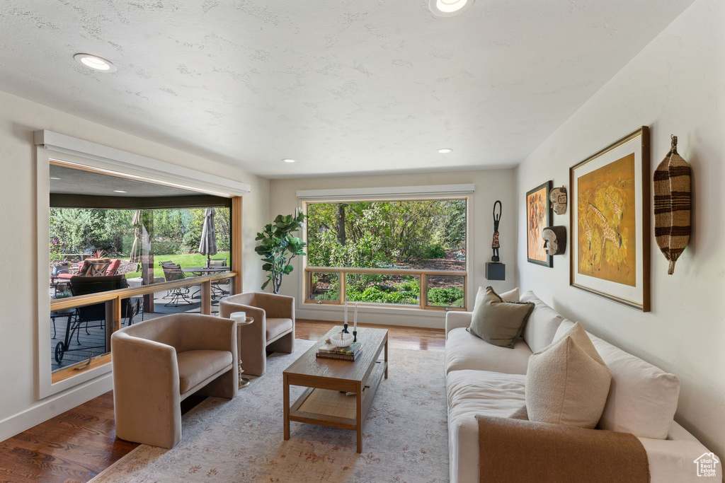 Living room featuring wood finished floors and recessed lighting