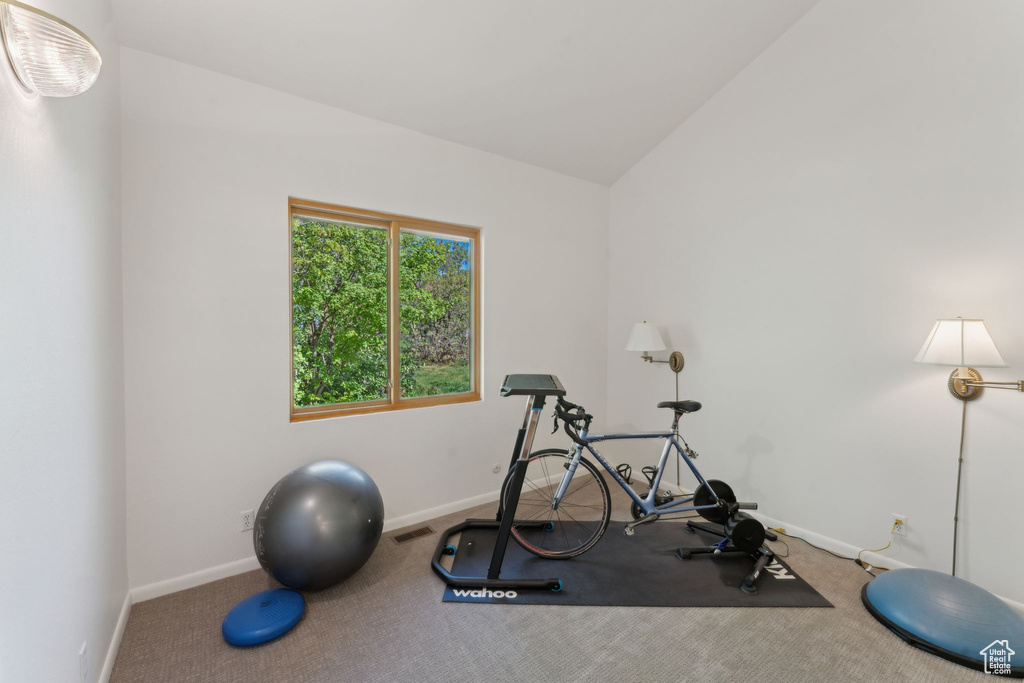 Exercise room featuring carpet, baseboards, and lofted ceiling