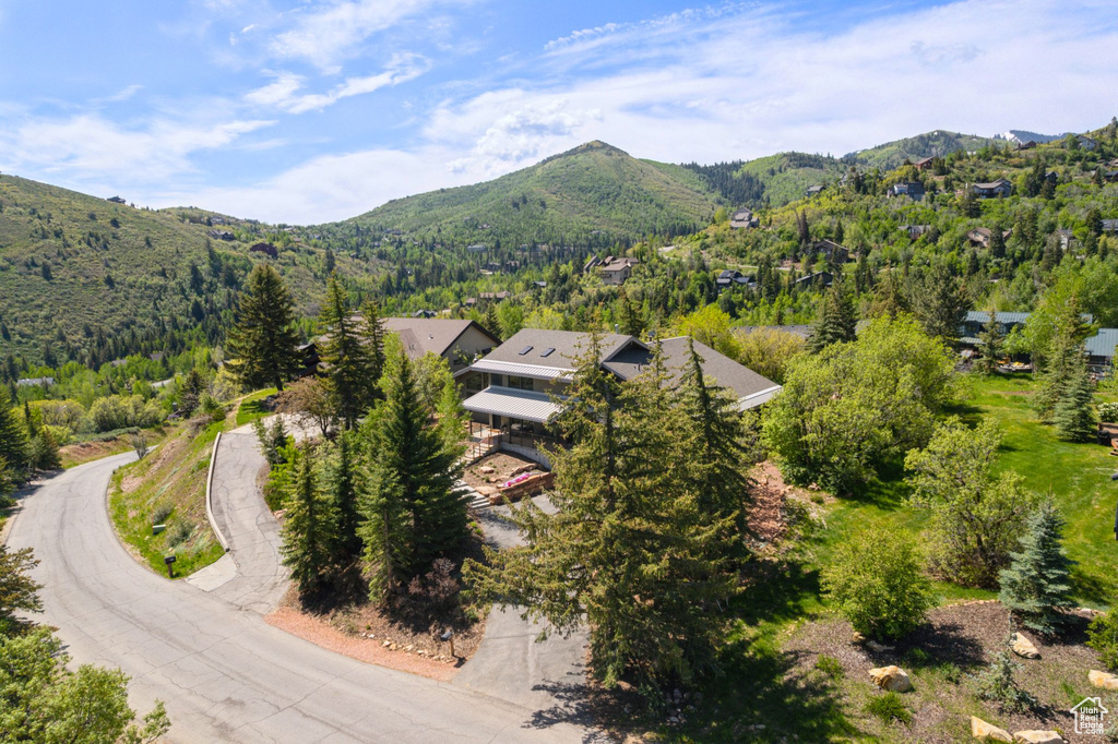 Aerial view of a mountainous background and a forest