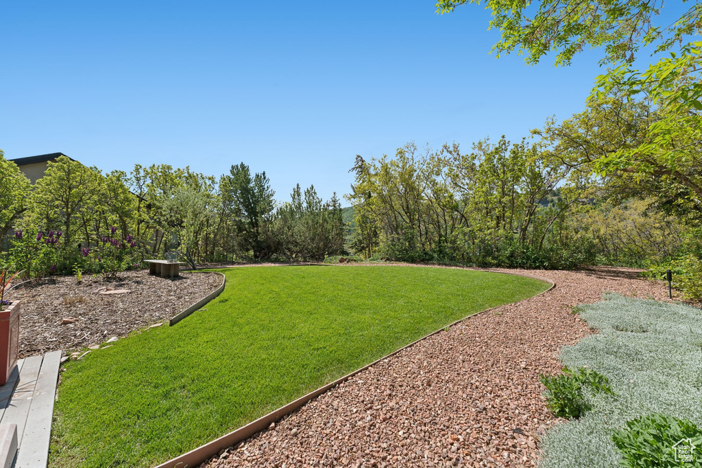 View of grassy yard