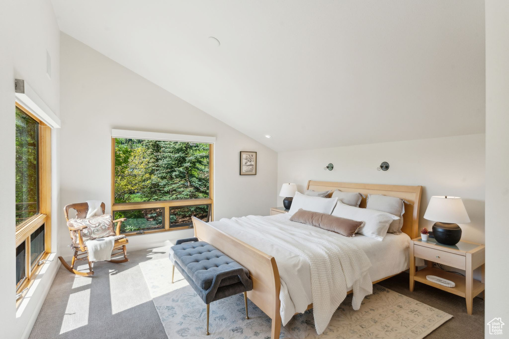 Carpeted bedroom with lofted ceiling